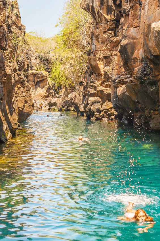 BAY TOUR GALAPAGOS exploring Santa Cruz Islas from 35