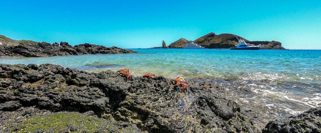 Tour isla Bartolome