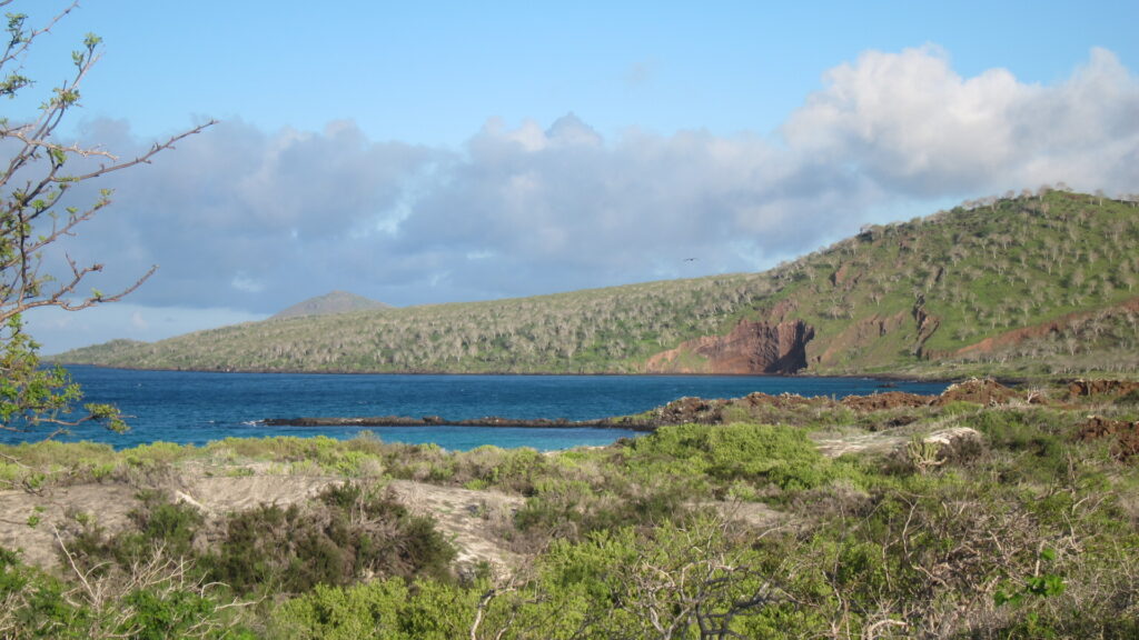 Tour punta Cormorant isla floreana y isla enderby