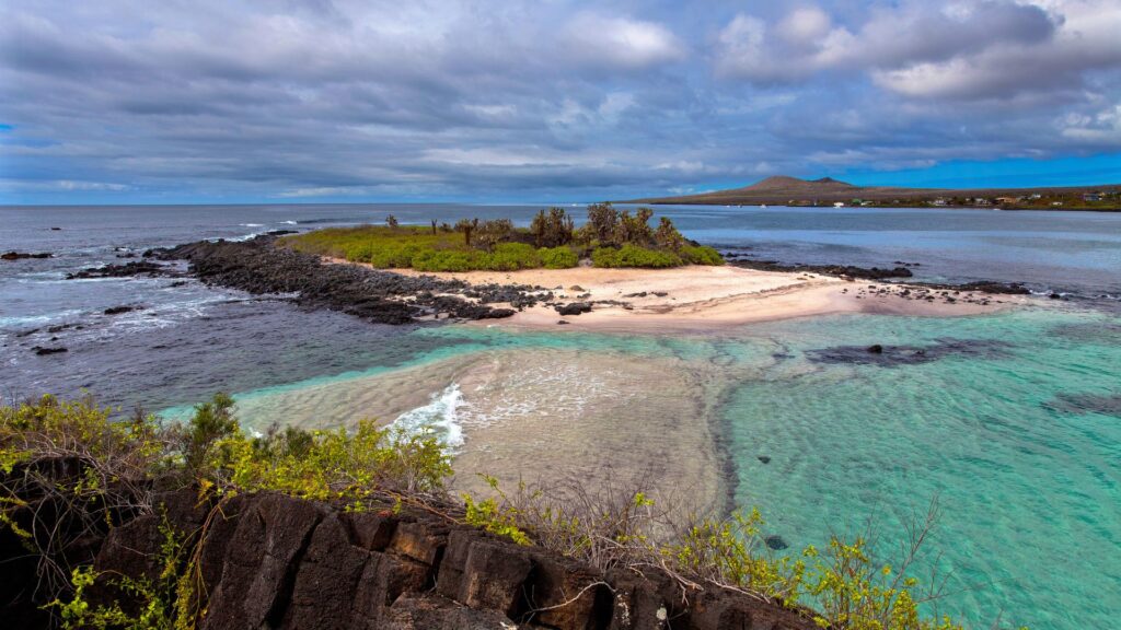 tour isla florena Islas Galapaagos